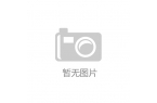 麻将胡了游戏郎朗吉娜表演《Game Sh